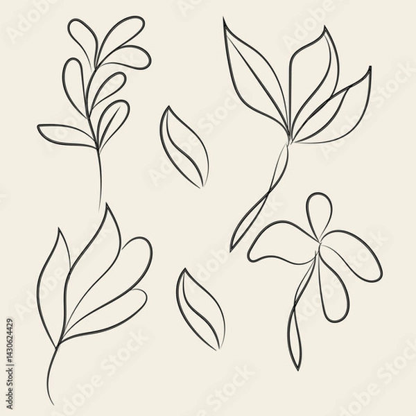 Fototapeta Abstract Line Art Botanical Illustrations Floral Elements