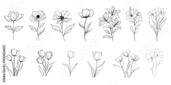 Obraz Hand-drawn line drawing of  flowers. silhouette