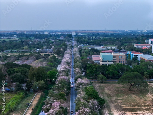 Fototapeta railway in the city with spring background
