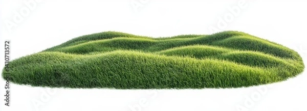 Fototapeta A vibrant green grass field set against a white background