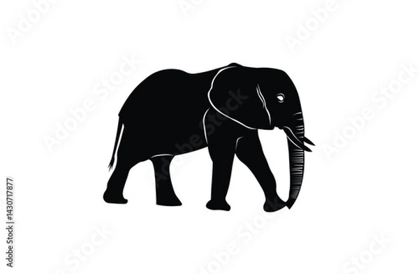 Fototapeta elephant vector illustration