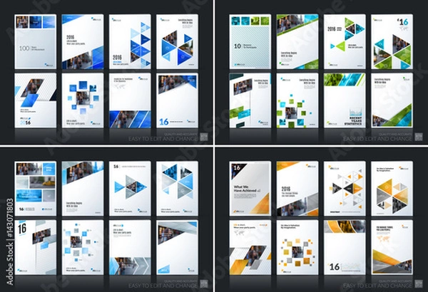 Fototapeta Abstract vector business template. Brochure layout, cover modern