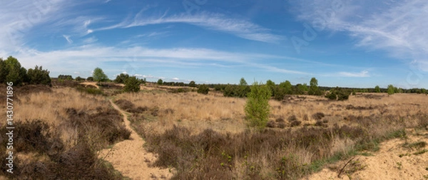 Obraz Veluwezoom bij Velp
