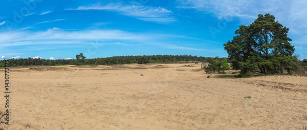 Obraz Veluwezoom bij Velp