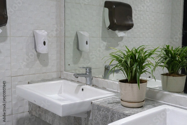 Fototapeta Clean public restroom counter featuring a white rectangular sink, chrome faucet, mirror, soap dispenser, and a potted spider plant.