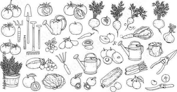 Fototapeta Collection of hand-drawn vegetable and fruit illustrations showcasing a variety of produce and gardening tools, vector set