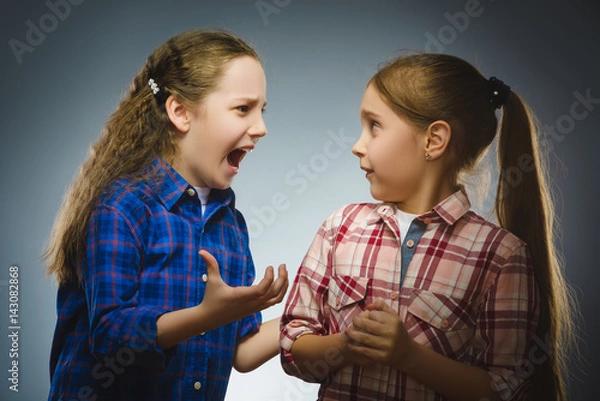 Fototapeta angry girl shouting at frightened dissatisfied girl. Communication concept