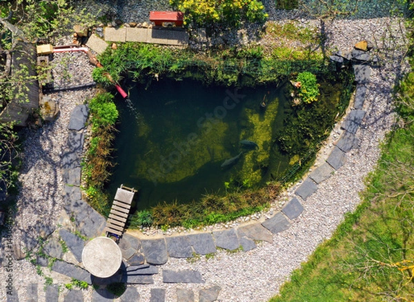 Fototapeta Root wastewater treatment plant as a garden pond. Relaxation zone with fish farming in an organic garden from above. Sustainable development in gardening and aquaculture.