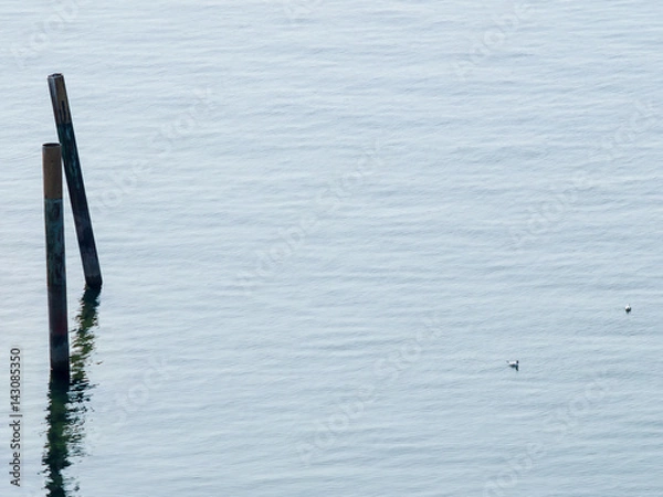 Fototapeta Wooden Poles in a Lake