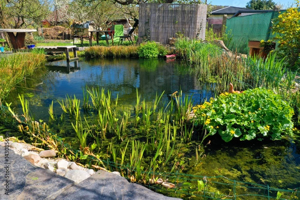 Fototapeta Root wastewater treatment plant as a garden pond. Relaxation zone with fish farming in an organic garden from above. Sustainable development in gardening and aquaculture.