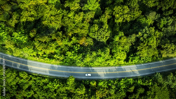 Obraz Aerial view green forest and asphalt road, Top view forest road going through forest with car adventure, Ecosystem ecology healthy environment road trip travel.