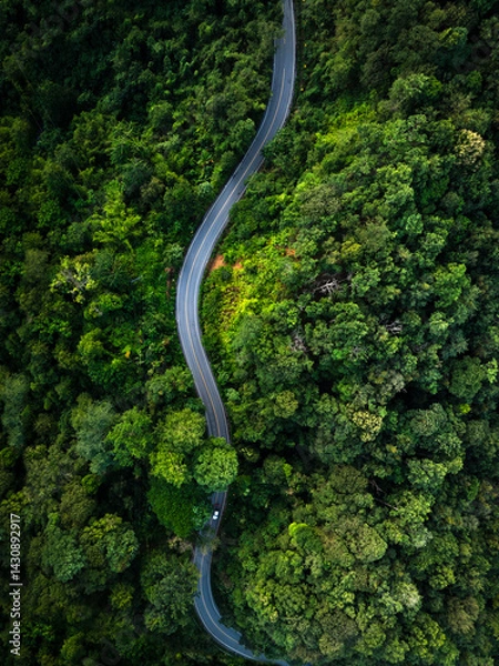 Obraz Road in the middle of the forest , road curve construction up to mountain, Rainforest ecosystem and healthy environment concept.