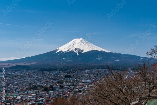 Fototapeta mount fuji in japan