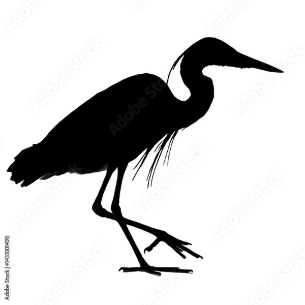 Obraz A silhouette of a great blue heron