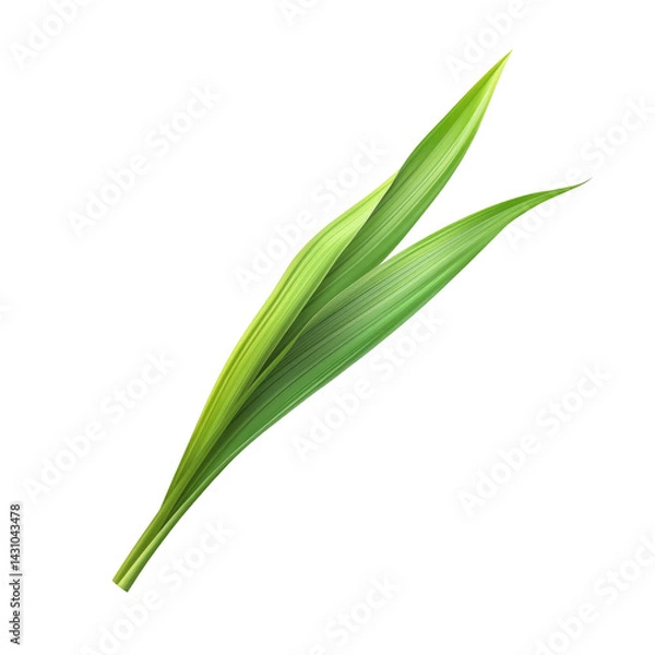 Obraz Two vibrant green leaves