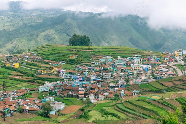 Fototapeta Vibrant terraced fields and colorful houses in Poombarai village near Kodaikanal with misty mountains in the background