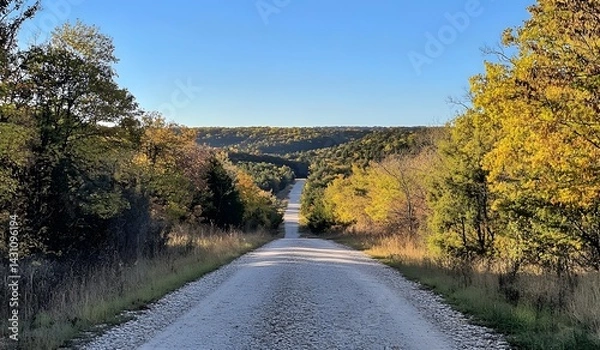 Fototapeta A photograph of an empty, gravel road flanked by trees in autumn colors leading to the horizon. 
