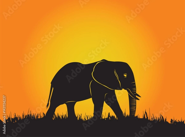 Fototapeta elephant at sunset