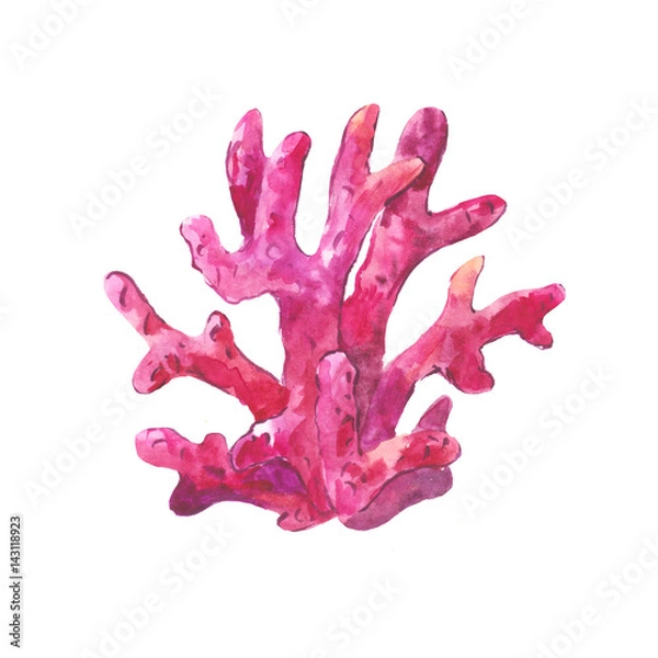 Obraz Purple watercolor coral
