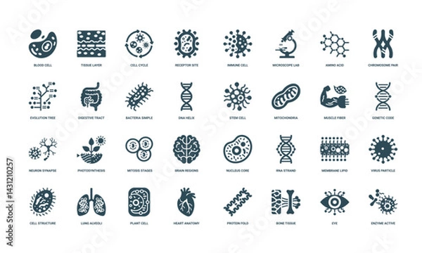 Fototapeta collection biology-themed icons cellular processes anatomical structures molecular components, Photosynthesis Nucleus Mitosis Brain