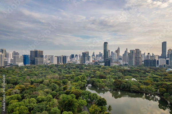 Obraz Beautiful aerial view of green park with a city skyline featuring numerous tall buildings in the heart of a metropolis, beneath a cloudy sky.