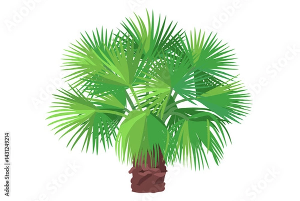 Fototapeta vector flat palm tree. Clip art isolated on transparent background.