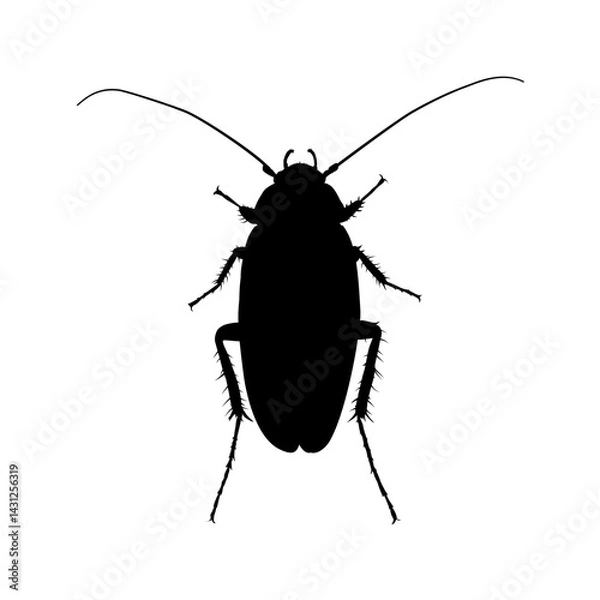 Obraz cockroach silhouette – vector illustration