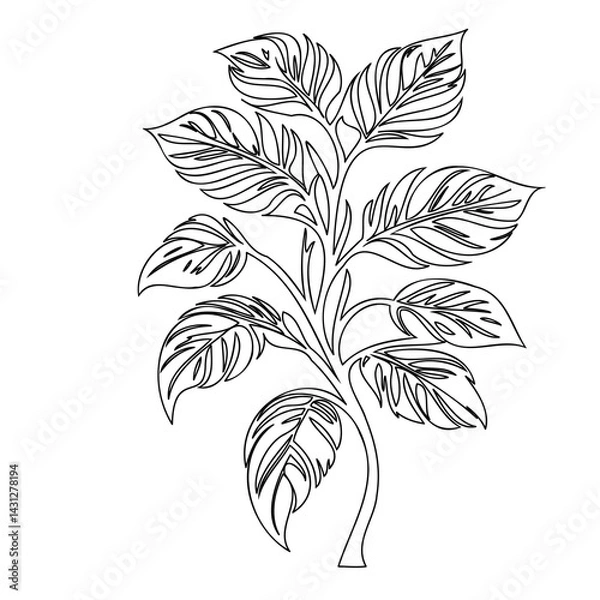 Fototapeta Delicate line illustration portraying organic botanical foliage formation