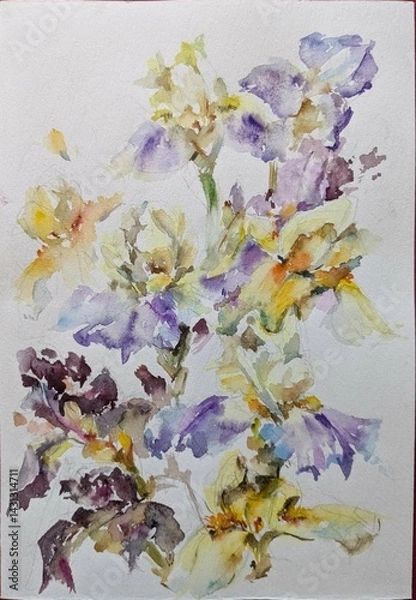 Obraz Abstract bright colored decorative background . Floral pattern handmade . Beautiful tender romantic bouquet of iris flowers , made in the technique of watercolors from nature.