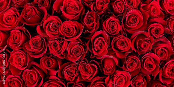 Obraz Natural red roses background