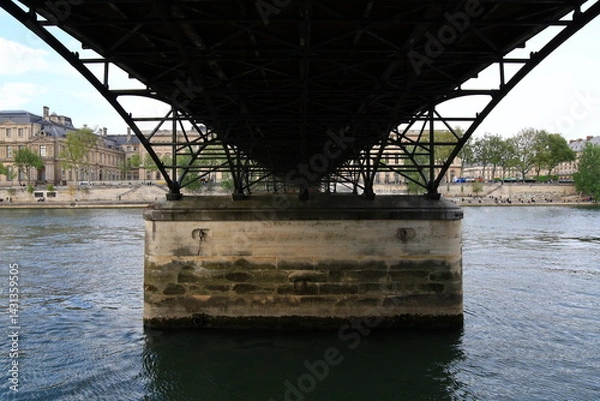 Fototapeta View on the quays of the seine in Paris