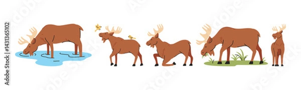 Fototapeta Illustration featuring various moose engaging in drinking, eating, standing and more. The style is clean and modern, perfect for various media projects.
