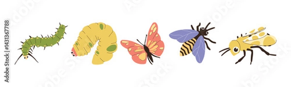 Fototapeta Colorful illustration showcasing different insect forms including caterpillar, pupa, butterfly, bee, and wasp. A visual representation of transformation in nature.