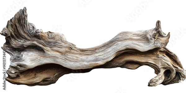 Fototapeta Driftwood texture background nature wood sea beach weathered tree branch isolated on a transparent background.