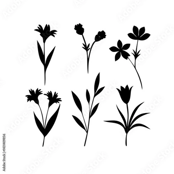 Fototapeta Flower icons set isolated on transparent background. Silhouettes spring flower icon set. Garden plants illustration sign collection. Beautiful symbol.
