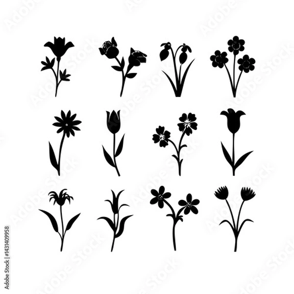 Fototapeta Flower icons set isolated on transparent background. Silhouettes spring flower icon set. Garden plants illustration sign collection. Beautiful symbol.
