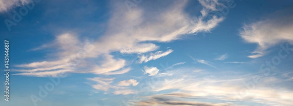 Fototapeta sky panorama with high cirrus clouds, lighted from sinking sun