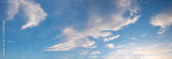 Fototapeta sky panorama with feathery high cirrus clouds, lighted from sun in the afternoon