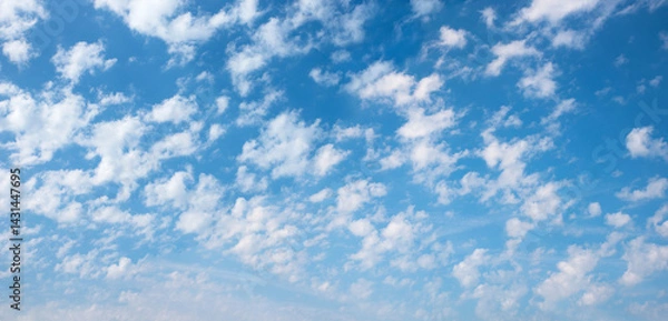 Fototapeta blue sky overcasted with small fluffy cirrus clouds