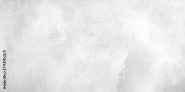 Fototapeta White, gray grunge wall and smoke, cloud texture. white marble texture. gray smoke and fog design texture overlays. hand painted vector on watercolor texture. white paper texture and wall background.