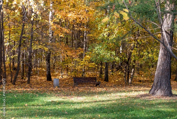 Fototapeta A large bench in the autumn park of Moscow without people