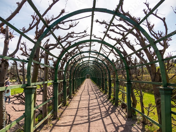 Fototapeta ST. PETERSBURG, RUSSIA, May 12, 2023: arch in the park Petergof or Peterhof, known as Petrodvorets from 1944 to 1997