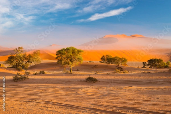 Fototapeta Wydmy na pustyni Namib o świcie, wycieczka do wspaniałego Parku Narodowego Namib Naukluft, cel podróży w Namibii w Afryce. Poranne światło, mgła i mgła.