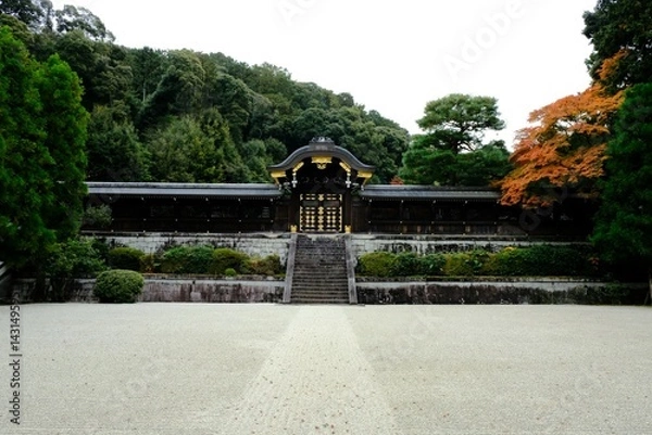 Fototapeta 日本、京都、泉涌寺、寺院、秋景、紅葉、黃葉