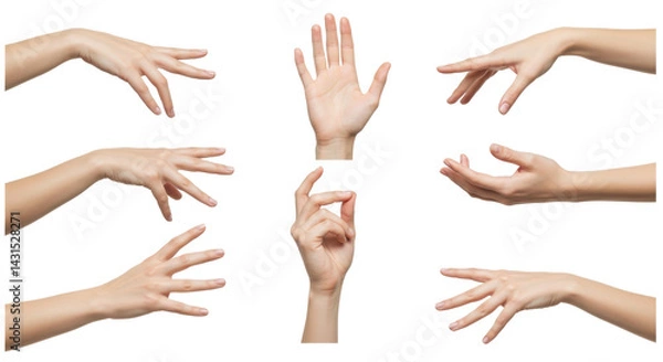 Fototapeta Seven human hands show different gestures, isolated against a black background