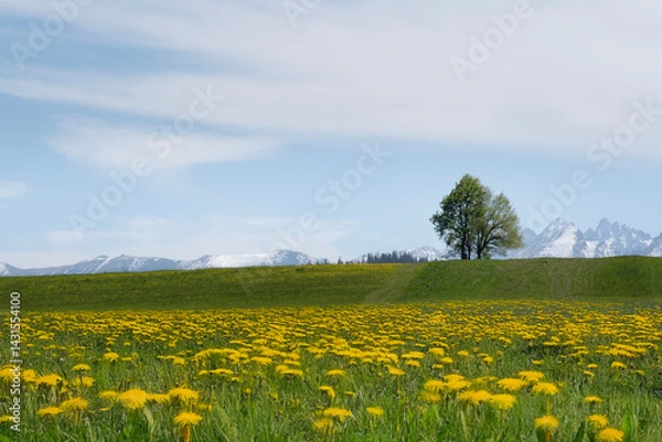 Fototapeta Generated image