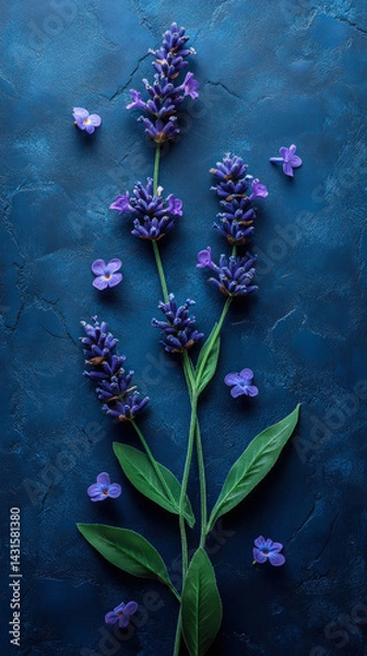 Obraz Lavender flowers with green leaves and scattered blossoms placed on a textured dark blue surface, ideal for wellness, nature, and spa visuals.
