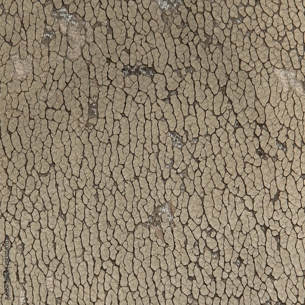 Obraz Surface with peeling paint as a background