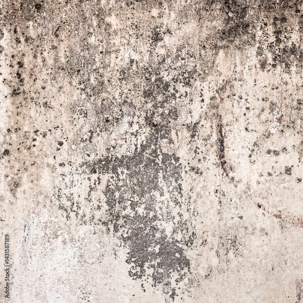 Obraz Grunge background in the form of a peeling wall