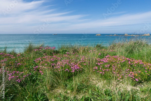 Obraz Les fleurs et la mer